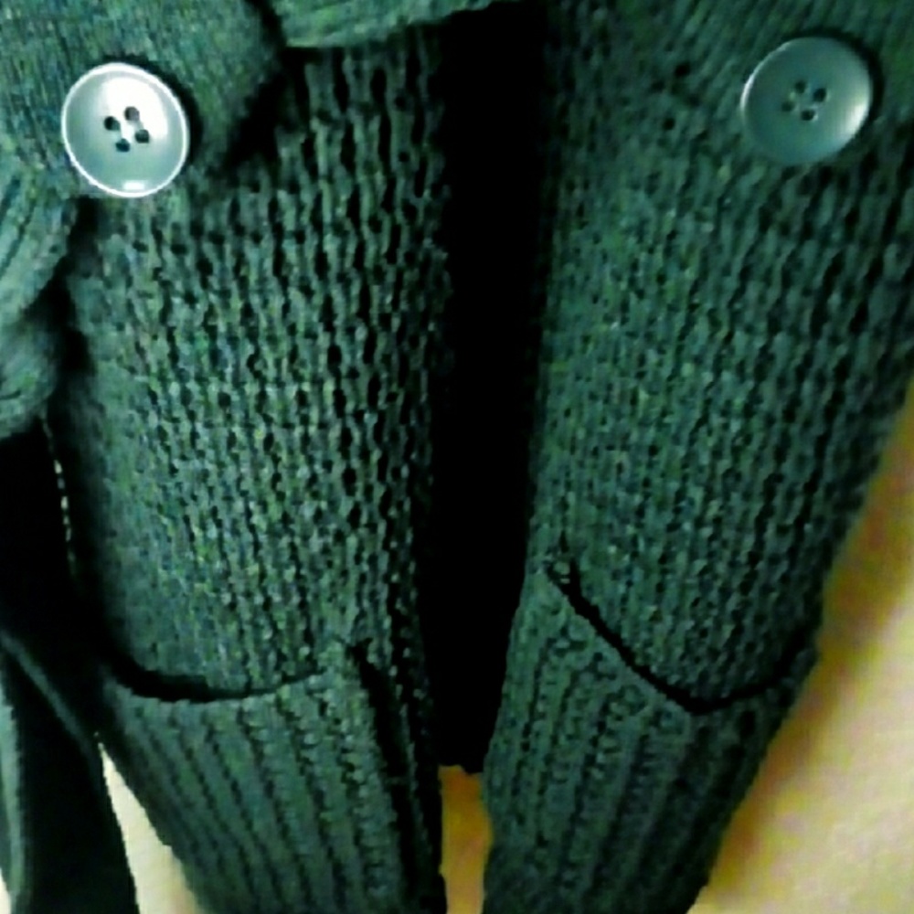 Nwot say what green sweater dress